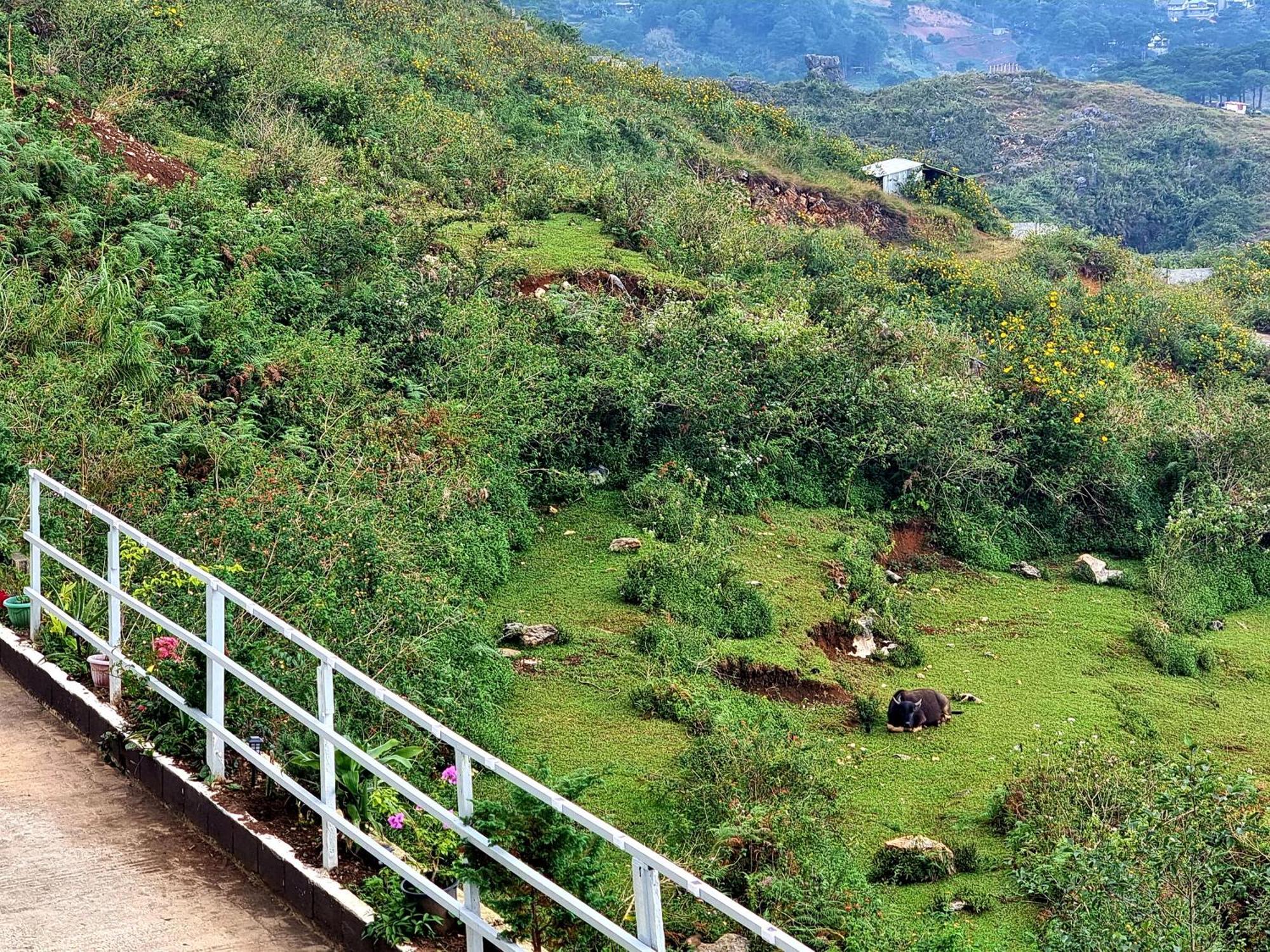 Wanay'S Rocky Mountain Homestay Baguio City Buitenkant foto